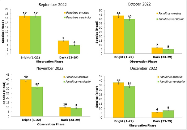 Figure 4: