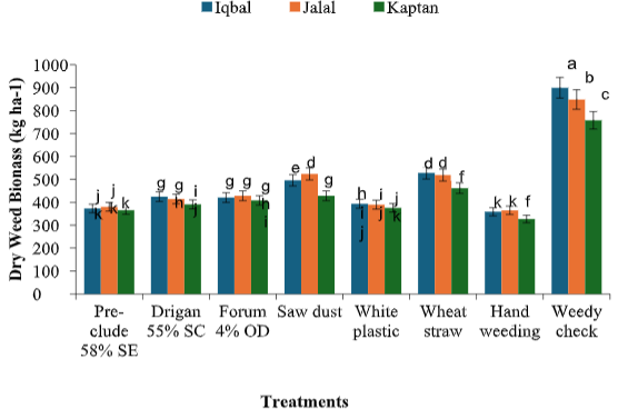 Figure 4: