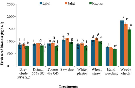 Figure 3: