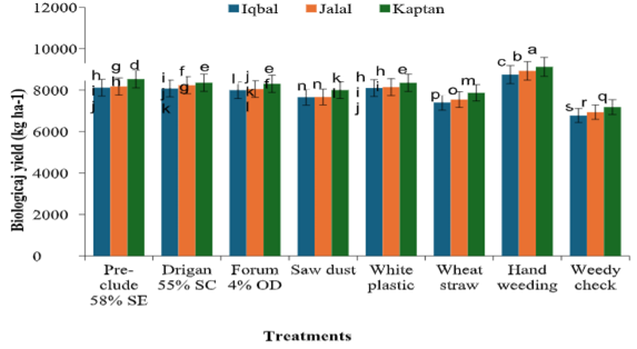 Figure 5: