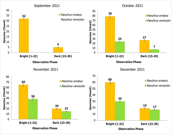 Figure 3: