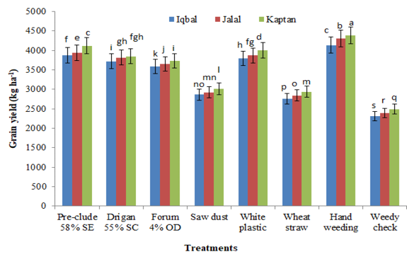 Figure 6: