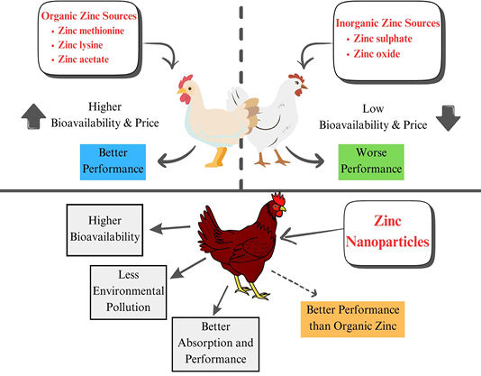 Figure 2: