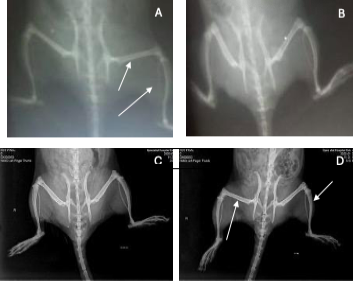 Figure 3: