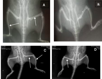 Figure 4: