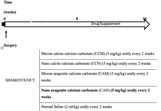 Figure 1: