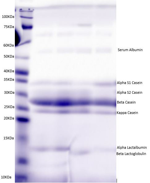 Figure 3: