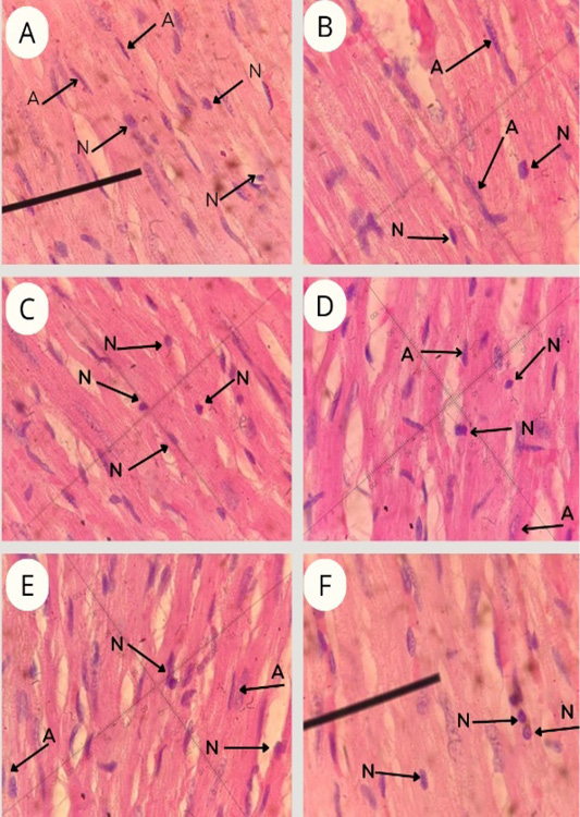Figure 3: