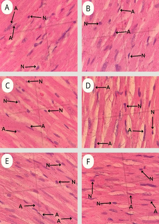 Figure 4: