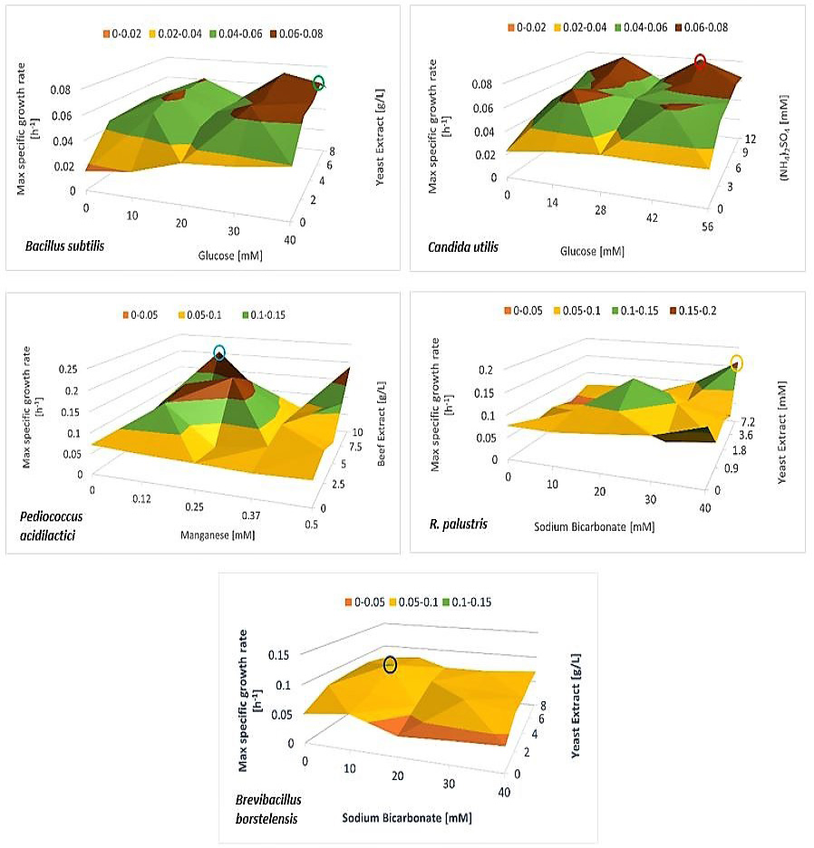 Figure 2: