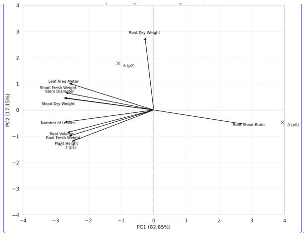 Figure 6: