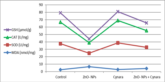 Figure 3: