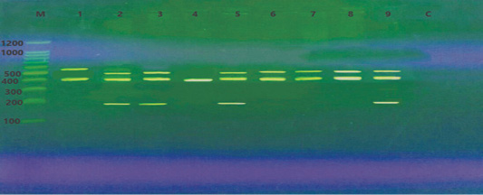 Figure 2: