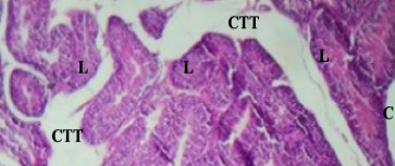 Figure 4: