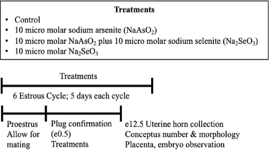 Figure 1: