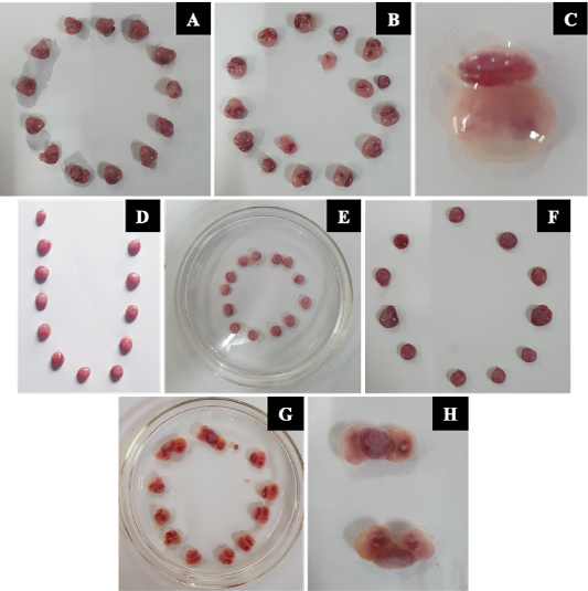Figure 4: