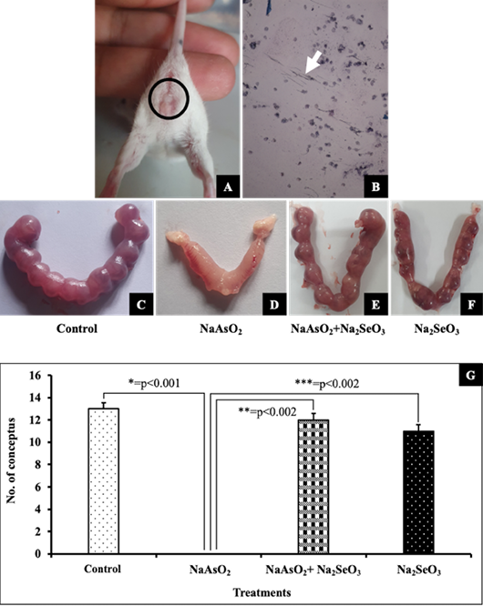 Figure 3: