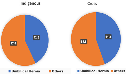 Figure 3: