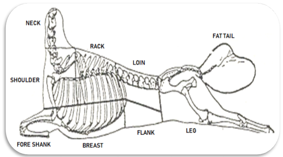 Figure 2: