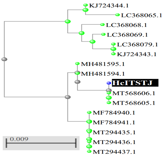 Fig. 3.