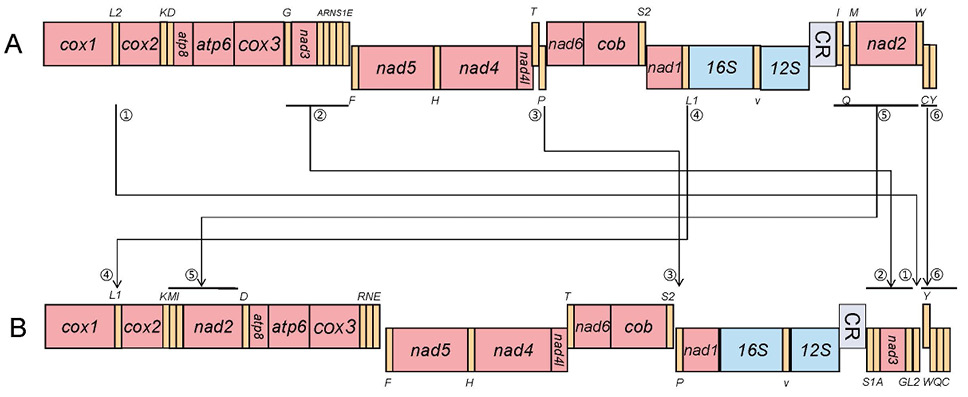 Fig. 3.