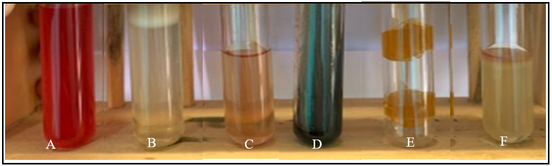 Figure 5: