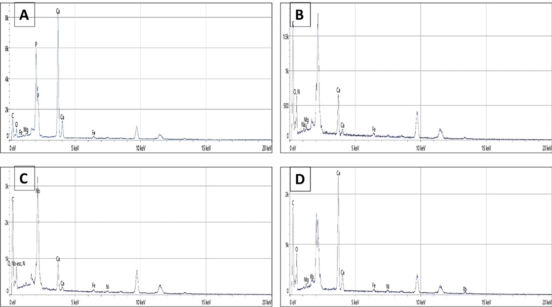 Figure 2:
