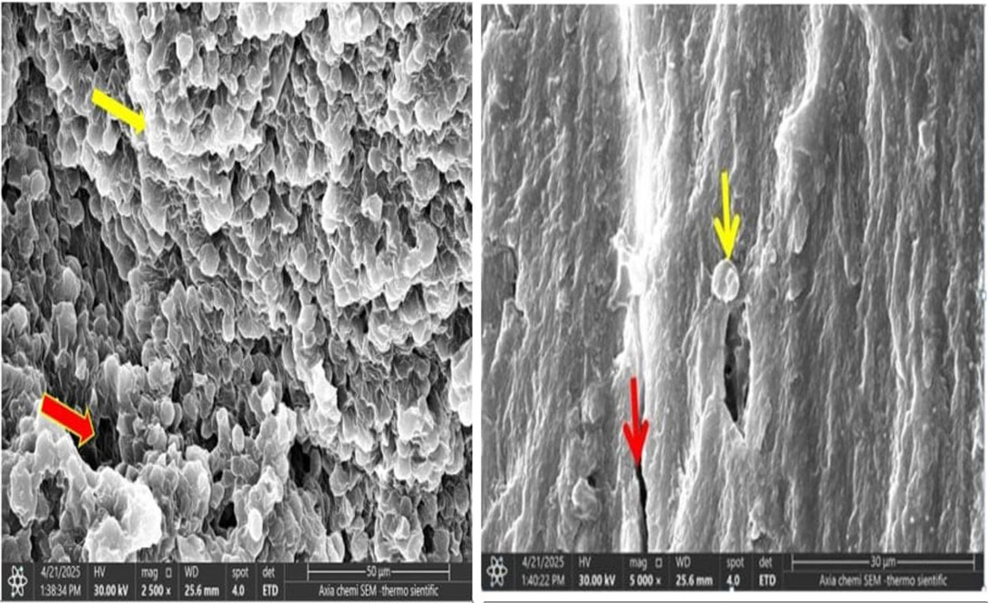 Figure 4: