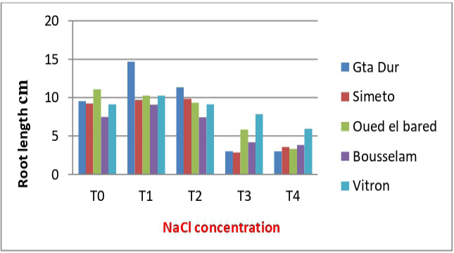 Figure 3: