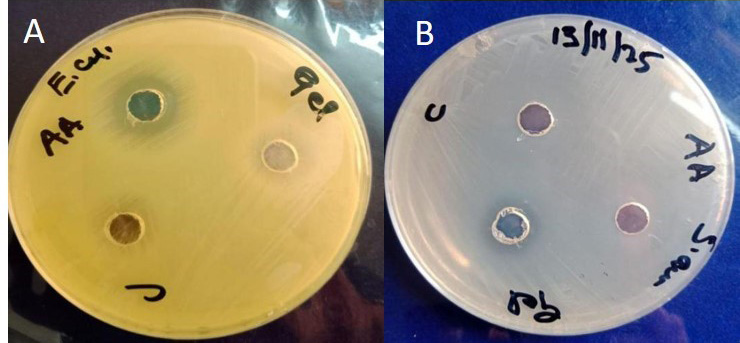 Figure 5: