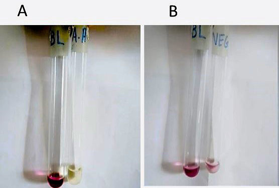 Figure 6: