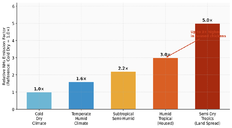 Figure 4: