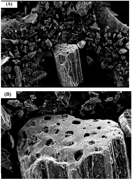 Figure 6: