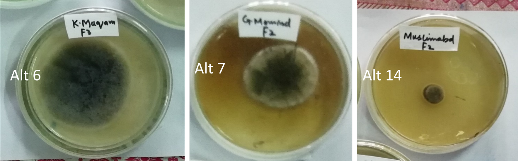 Figure 3: