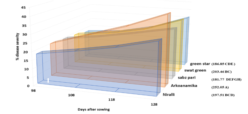Figure 4: