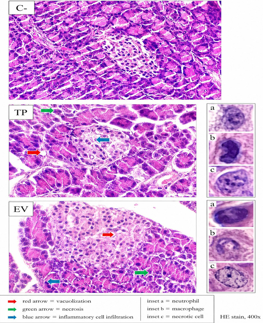 Figure 2: