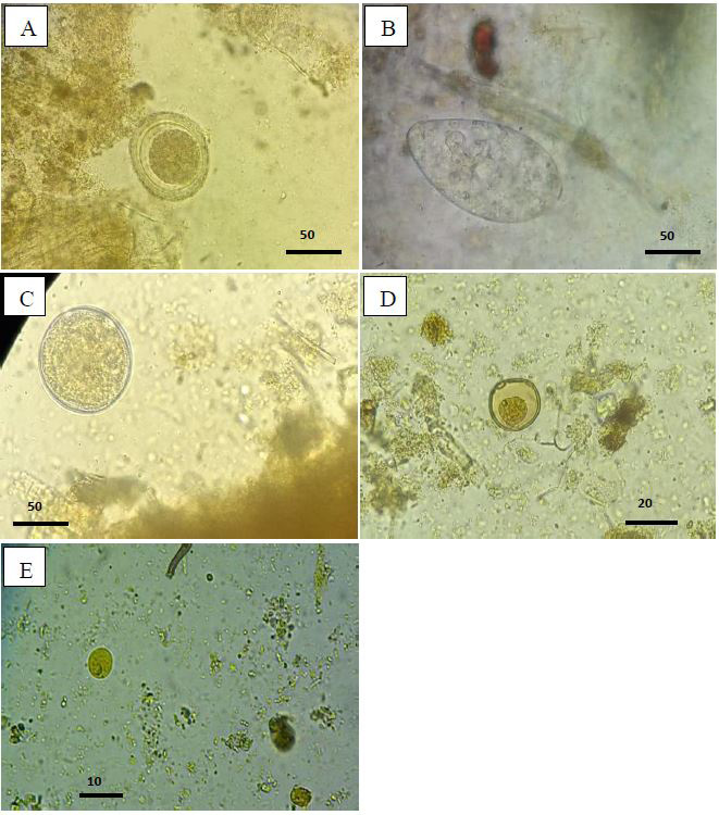 Figure 2: