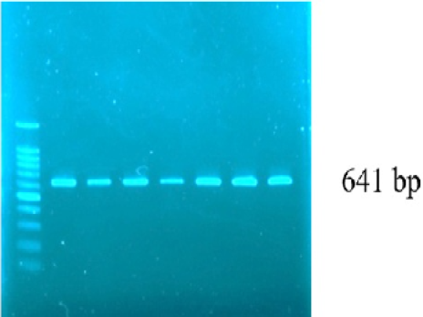 Figure 1: