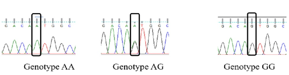 Figure 2:
