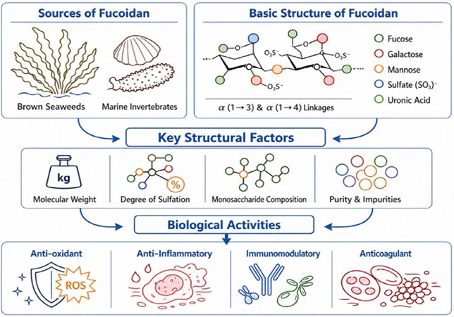 Figure 4:
