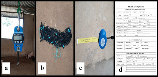 Figure 3: