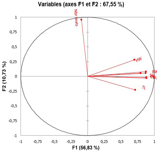 Figure 4: