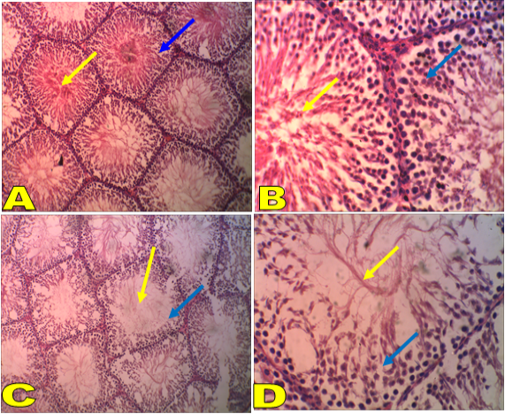 Figure 2: