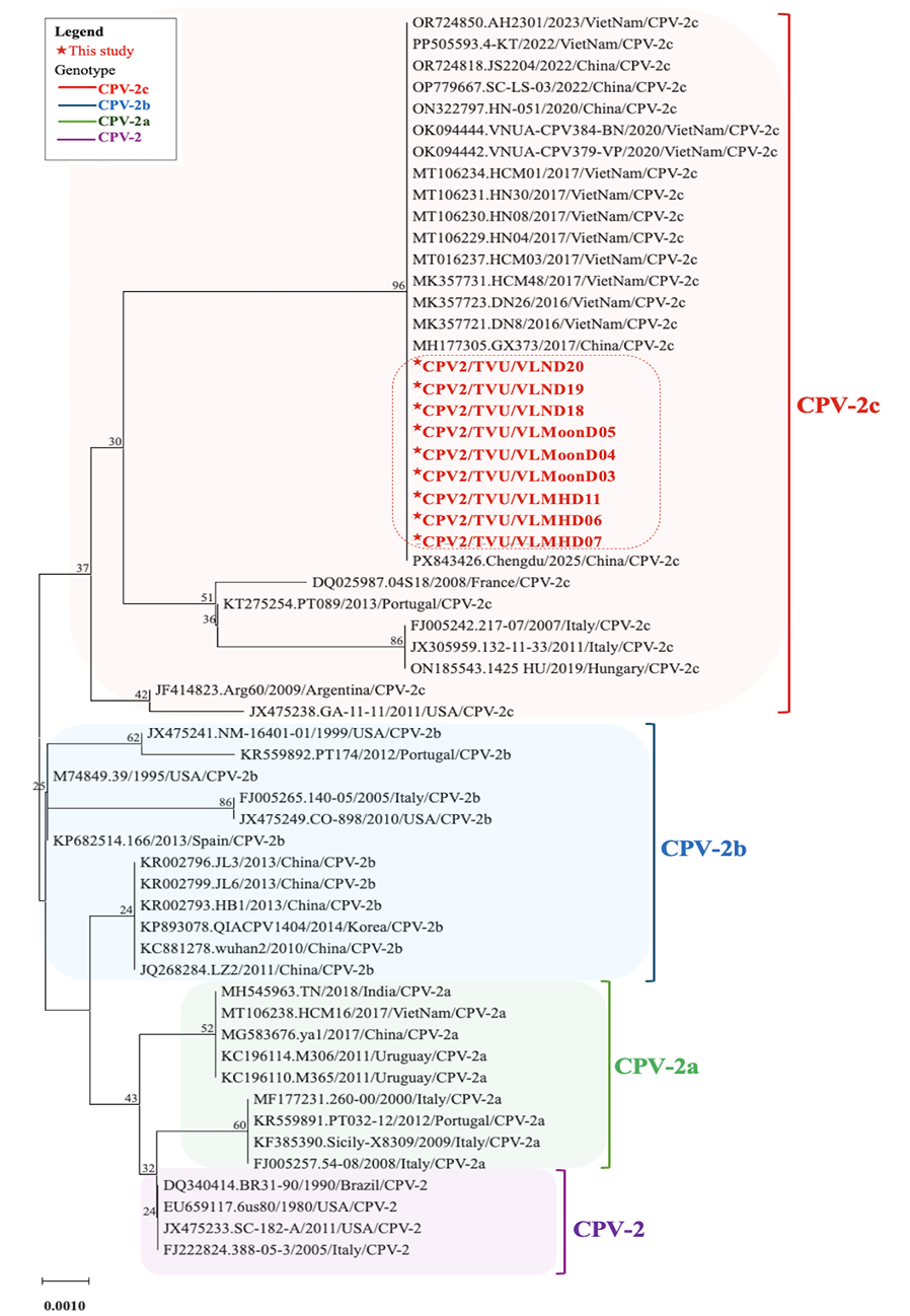 Figure 2: