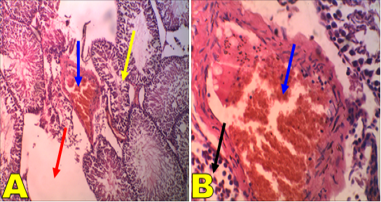 Figure 3: