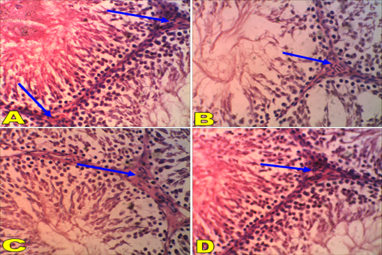 Figure 5: