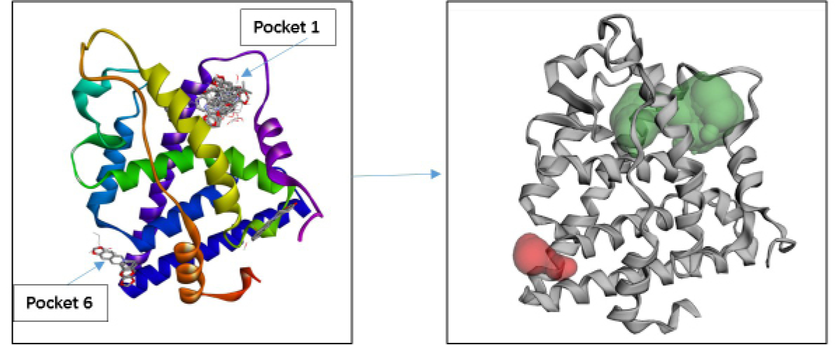 Fig. 1.,