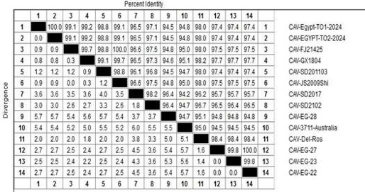 Figure 5: