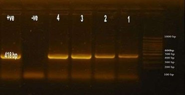 Figure 2: