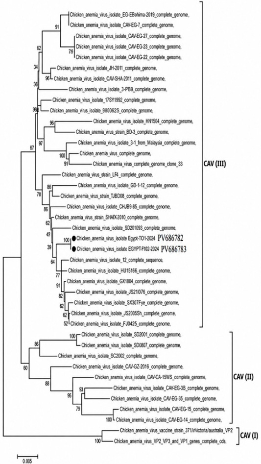 Figure 6: